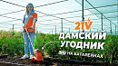 video_poster
